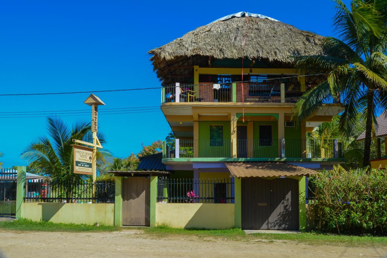 Hostel A Piece Of Ground Punta Gorda Exteriér fotografie